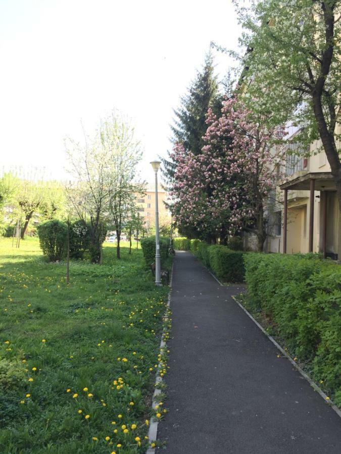 Gold Apartments Baia Mare Eksteriør bilde